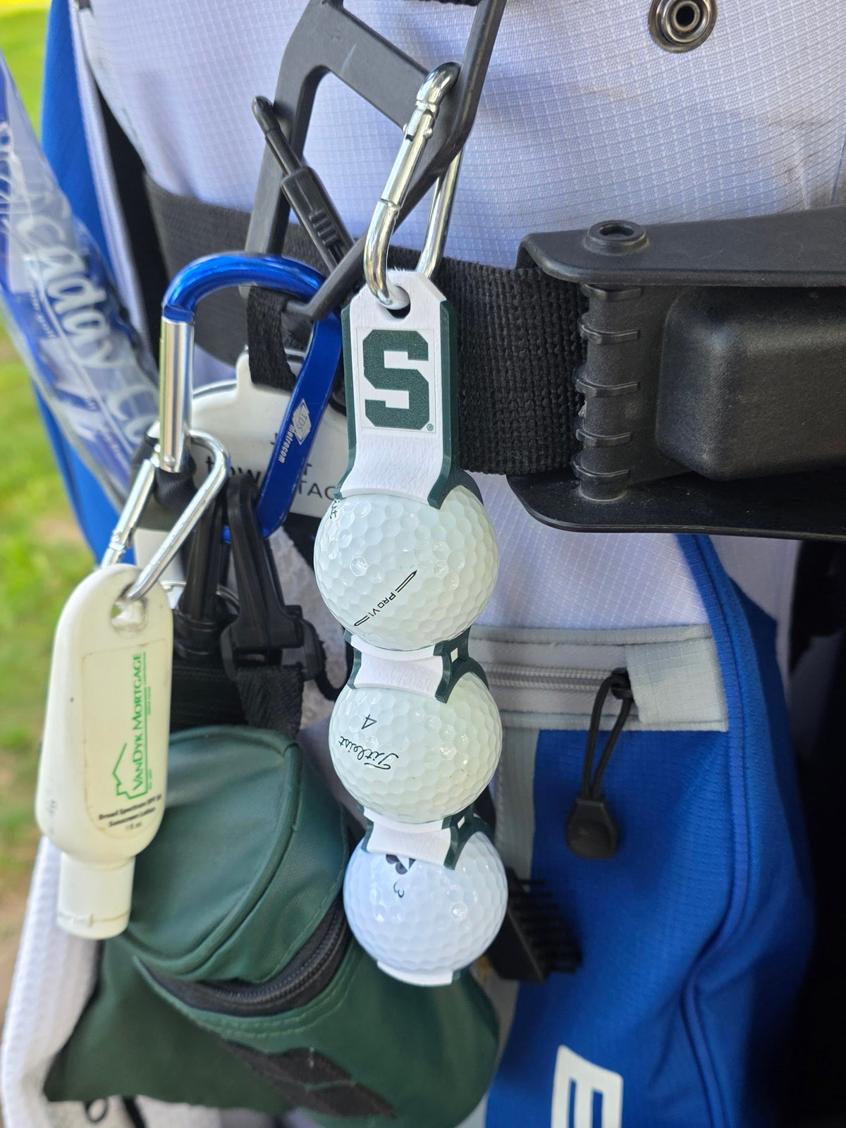 Michigan State White